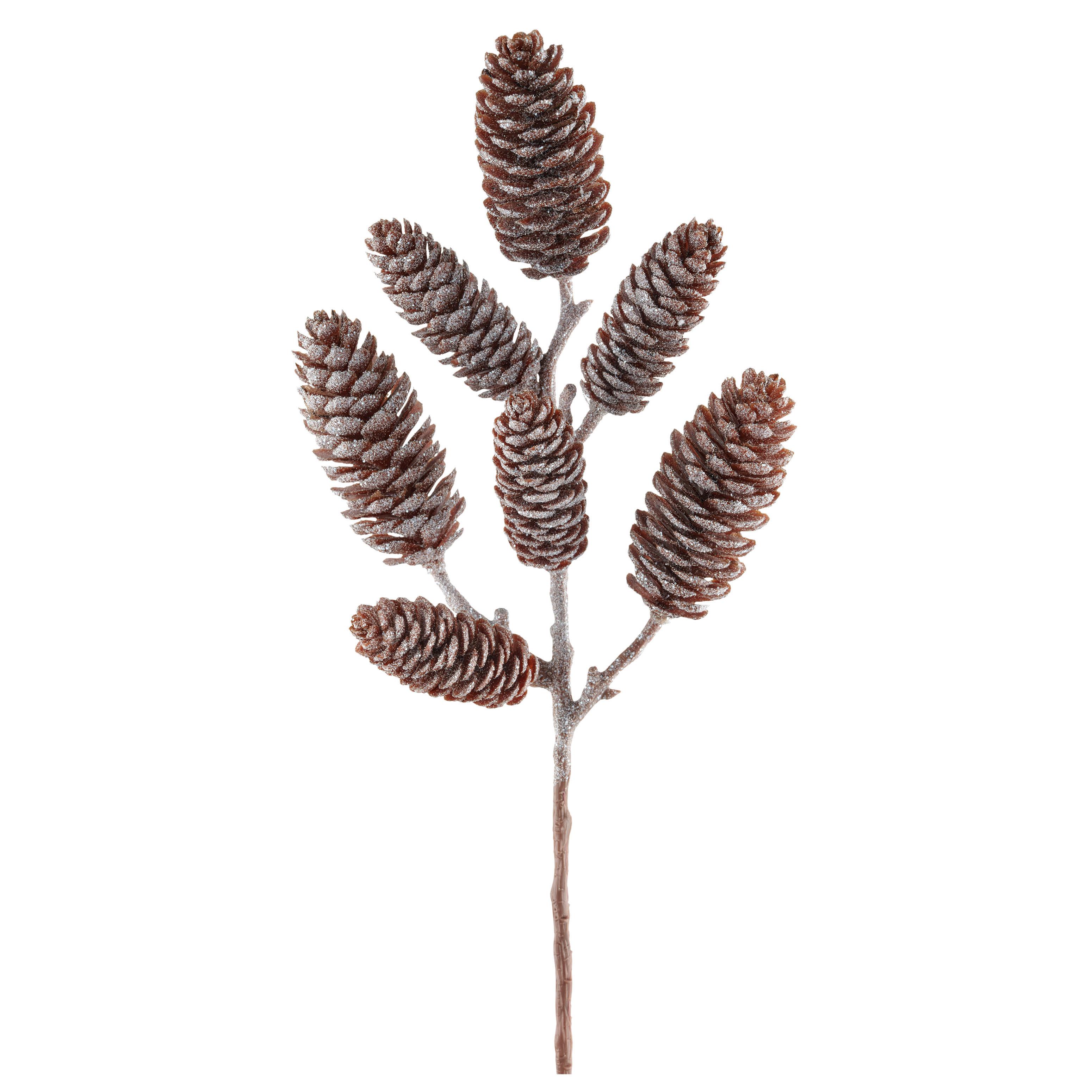 Umetna Rastlina Zapfenzweig I - temno rjava/rjava, Basics, umetna masa (32cm) - Mömax