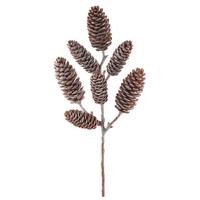 Kunstpflanze Zapfenzweig I Dunkelbraun ca. 32cm - Dunkelbraun/Braun, Basics, Kunststoff (32cm) - Mömax