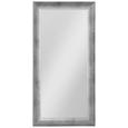 Wandspiegel in Silber ca. 40x80cm - Silberfarben, MODERN, Glas/Holzwerkstoff (40/80cm) - MÖMAX modern living