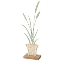 Skulptur Nolani Ii Naturfarben/grün - Konventionell, Naturmaterialien/Holzwerkstoff (10/5,5/35,5cm) - Mömax