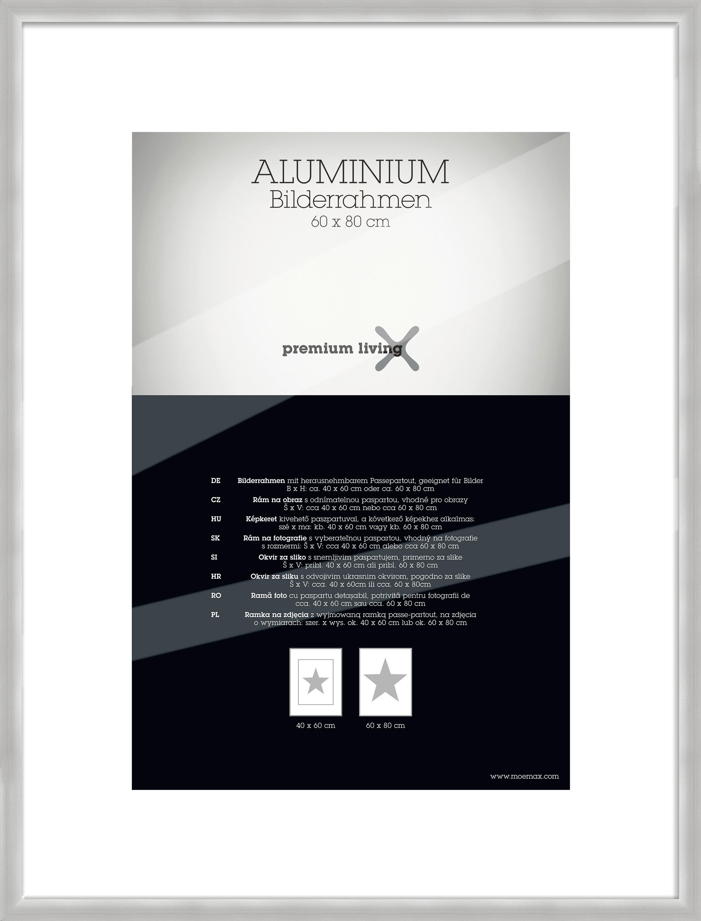 Okvir Za Slike Aluminium - srebrne barve, Basics, kovina (63,1/83,1/2.2cm) - Premium Living