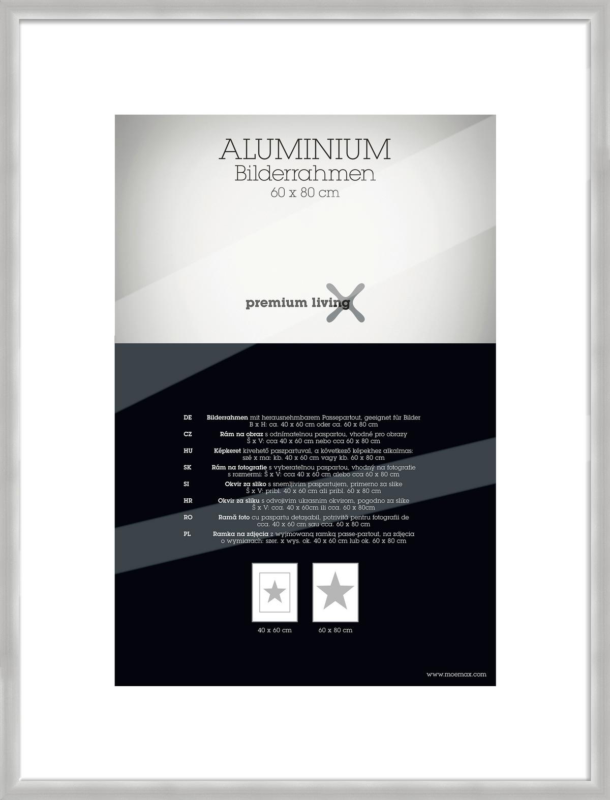 Bilderrahmen Aluminium ca. 63x83cm - Silberfarben, Basics, Metall (63,1/83,1/2.2cm) - Premium Living