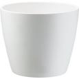 Blumentopf Luisa Verschiedenen Farben - Rosa/Weiß, MODERN, Keramik (22/18,5cm) - Mömax modern living Blumentopf Luisa Verschiedenen Farben - Rosa/Weiß, MODERN, Keramik (22/18,5cm) - Mömax modern living