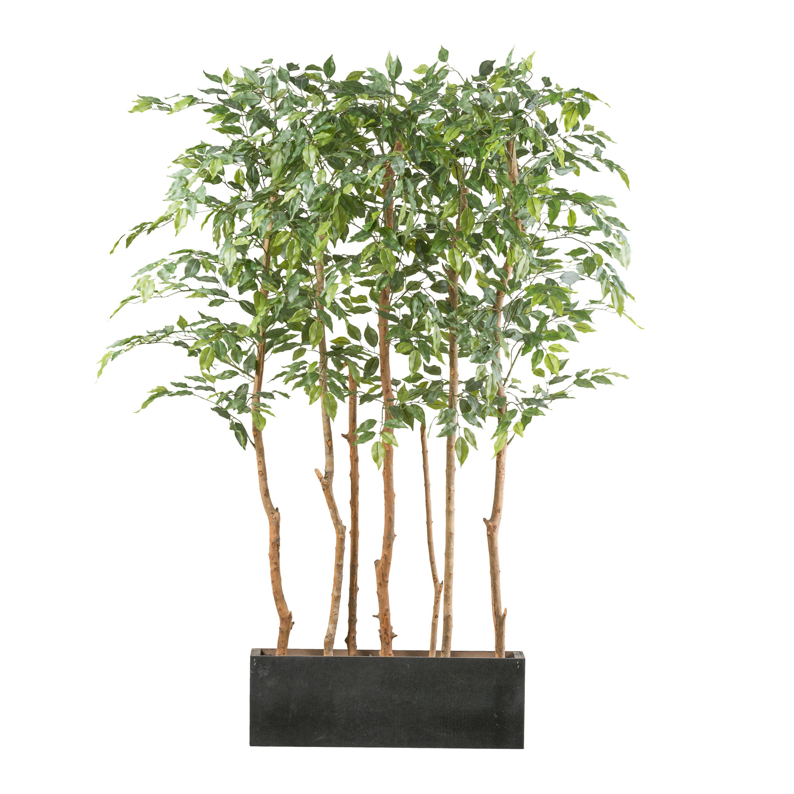 Kunstpflanze Grünpflanzen Grün/Schwarz ca. 160cm - Schwarz/Braun, Design, Holz/Kunststoff (160cm) - P & B