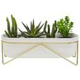 Kaspó Mika - Arany/Fehér, Kerámia/Fém (31/10,7/11,5cm) - Mömax modern living Kaspó Mika - Arany/Fehér, Kerámia/Fém (31/10,7/11,5cm) - Mömax modern living