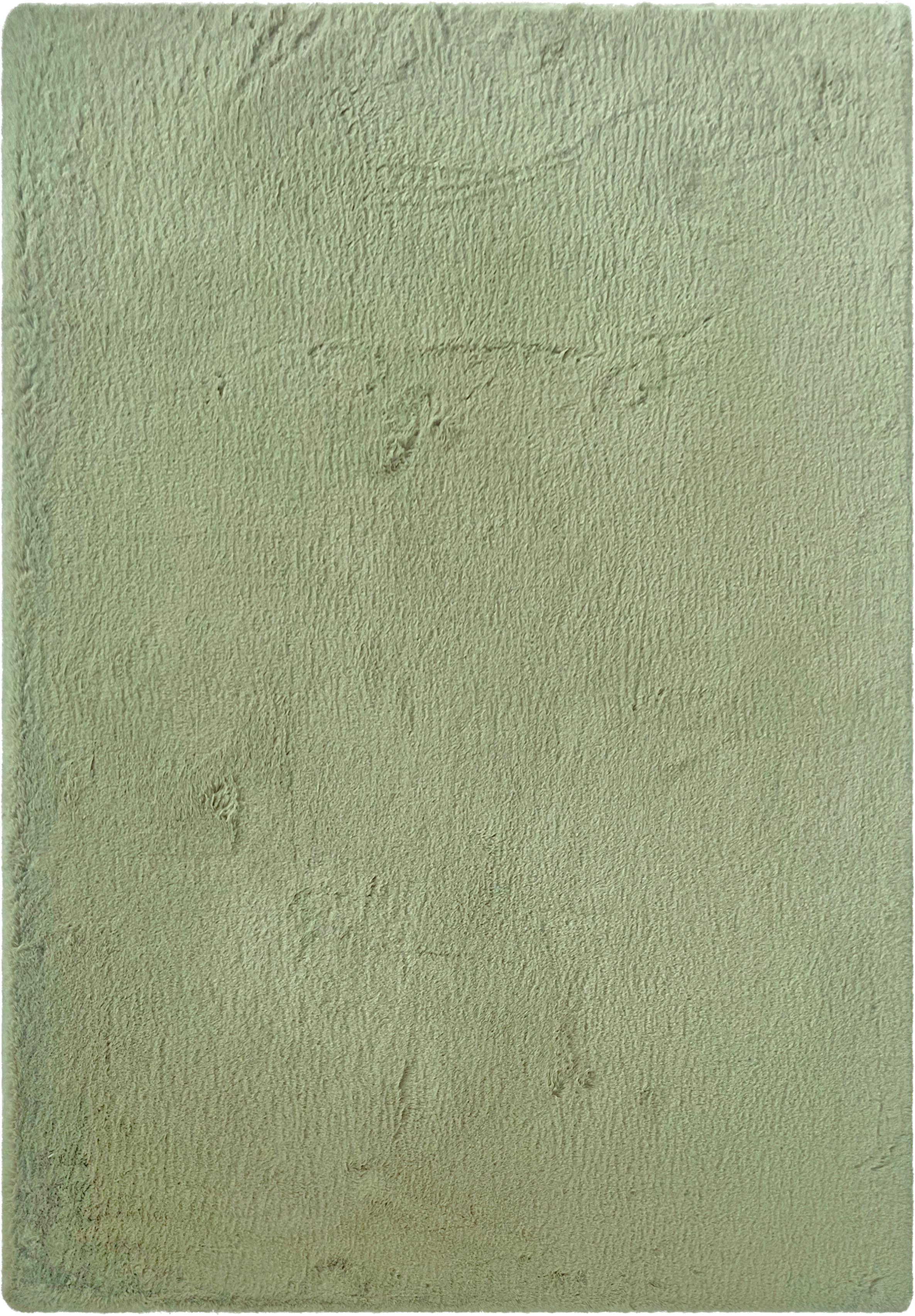 Umetno Krzno Caroline 3 - svetlo zelena/žajbljevo zelena, Konvencionalno, tekstil (160/220cm) - Mömax