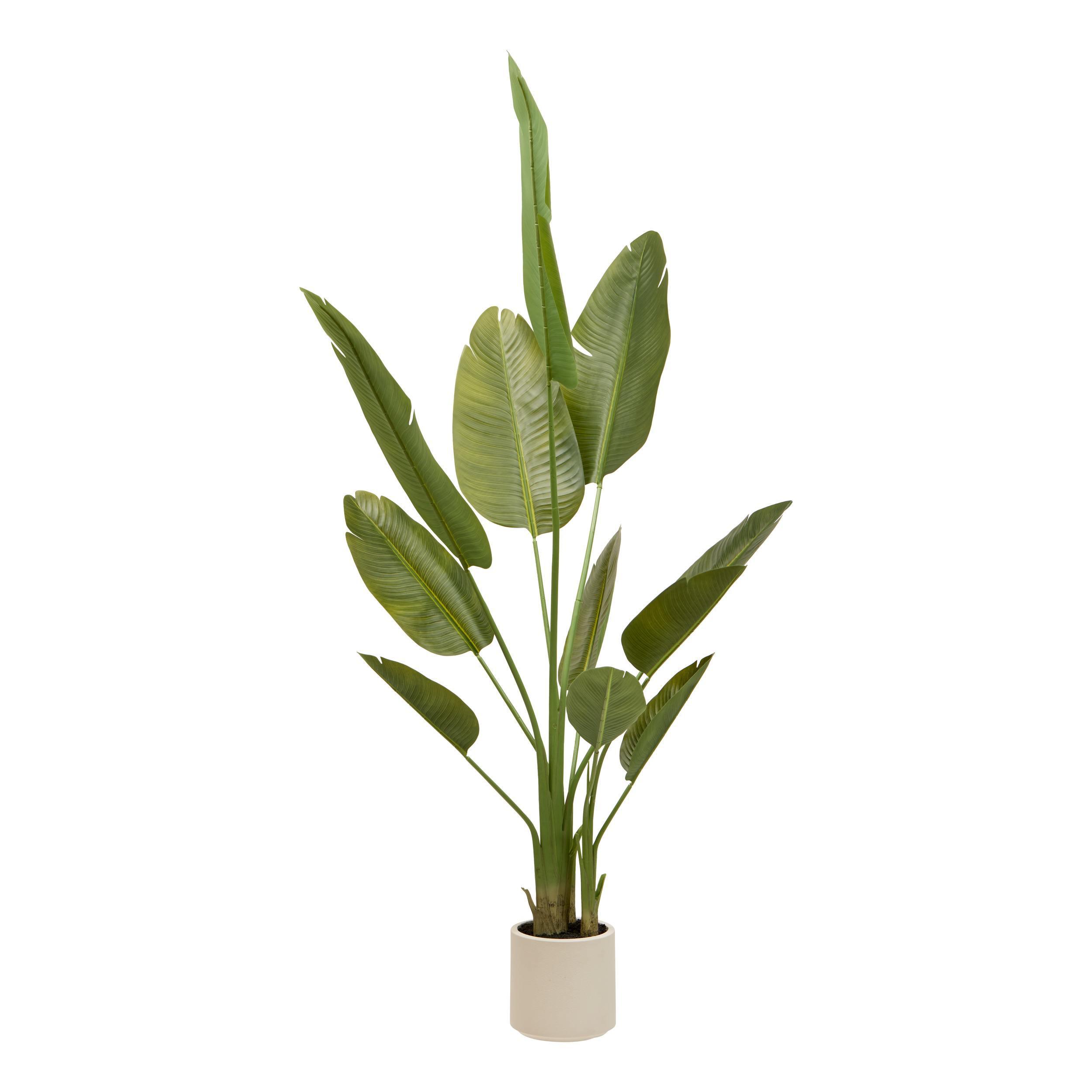 Plantă artificială în ghiveci bananier Lora cca. 200 cm - verde, Basics, plastic/piatră (60/200/60cm)