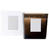 Dišeča Sveča Aquatic Freshness - bela/svetlo zelena, Design, steklo (10/10/10cm) - Inscent