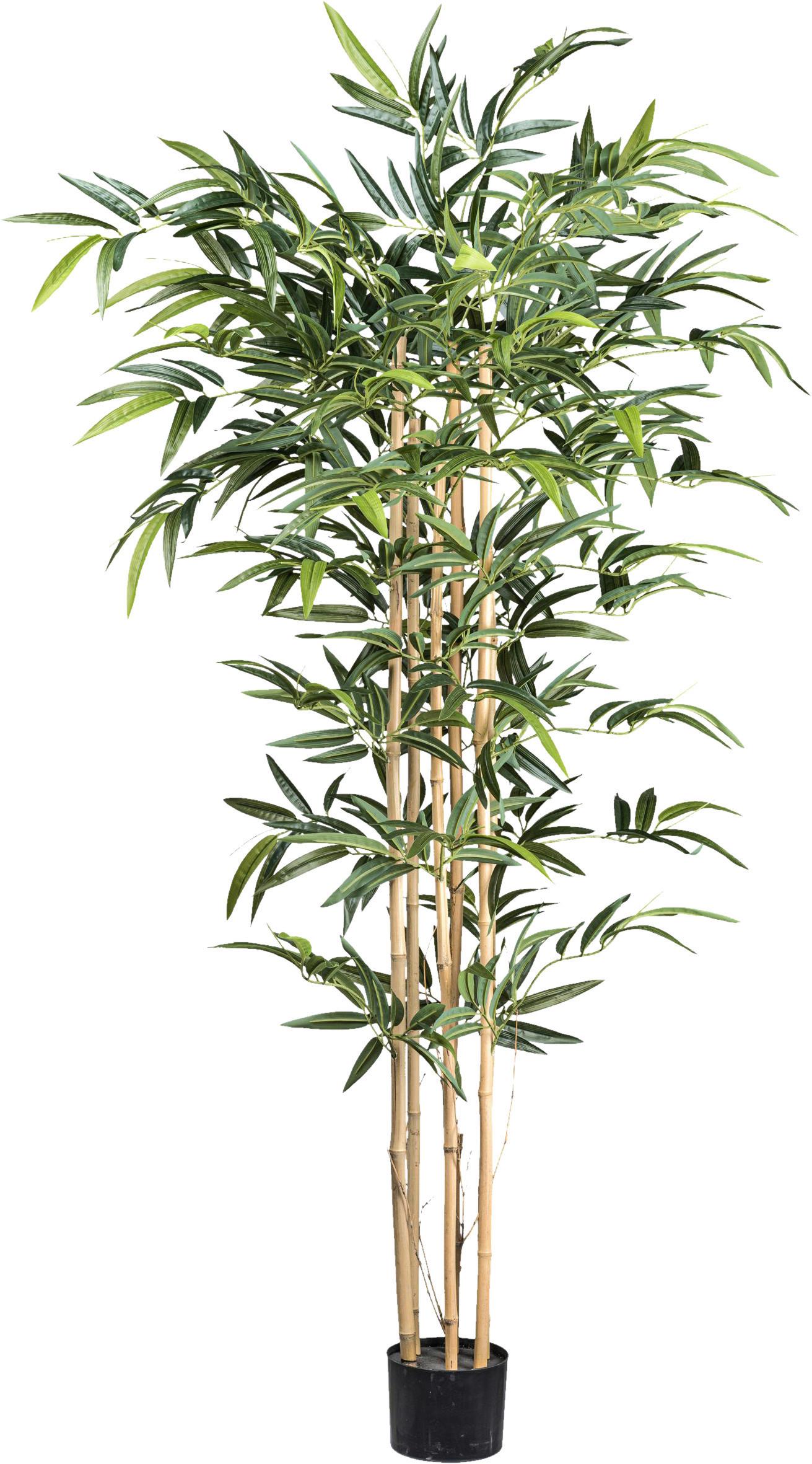 Kunstpflanze Grünpflanzen Grün/Natur/Schwarz - Schwarz/Naturfarben, Design, Kunststoff (150cm)