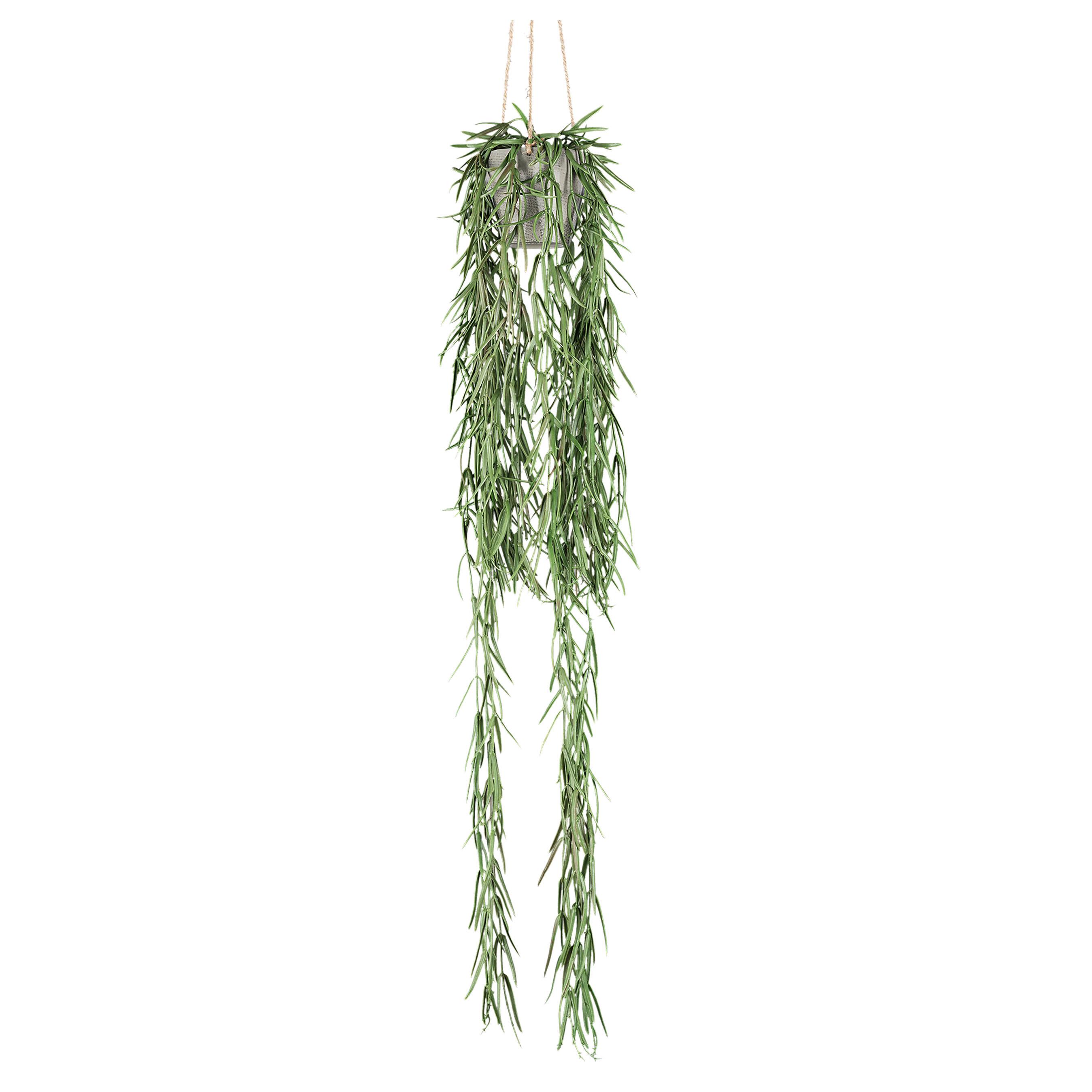 Műnövény Tillandsia - zöld, Basics, műanyag (90cm)