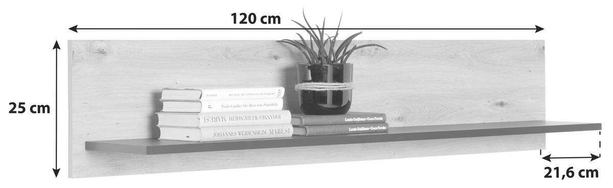 Poliță de perete NATURE NATP 01 - culoare lemn stejar, Konventionell, material pe bază de lemn (120/25/21,6cm)