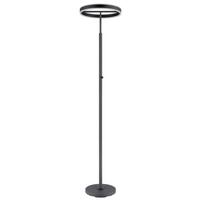 Led Podna Svjetiljaka Emanuel - bijela/crna, Design, metal/plastika (40/181cm) - Globo