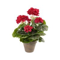 Umetna Rastlina Greta - Konvencionalno (20/34cm) - Mömax