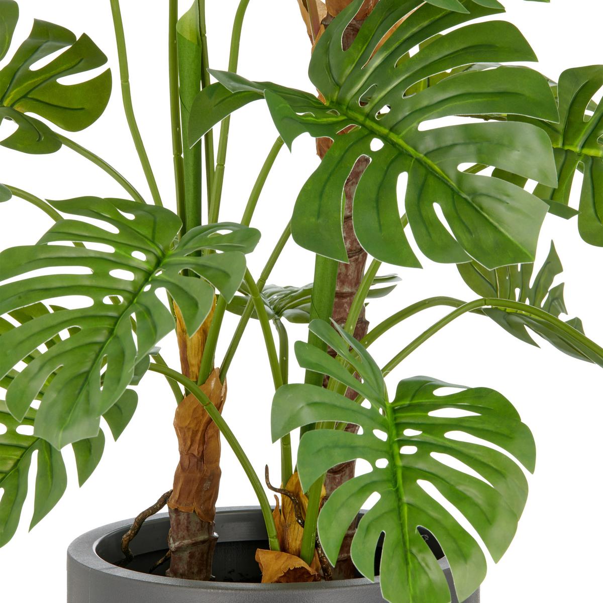 Kunstpflanze Split- Philodendron Grün ca. 100cm - Braun/Grau, Basics, Kunststoff (100cm)