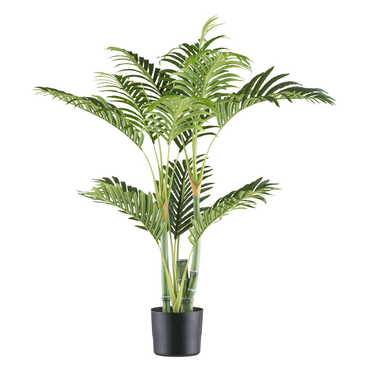 Kunstpflanze Palmen Grün/Schwarz ca. 100cm - Schwarz/Grün, Design, Kunststoff (100cm) - P & B
