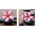 Glasbild Rosy Orchid, ca. 20x20x1,7cm - Multicolor, MODERN, Glas (20/20/1,7cm) - MÖMAX modern living