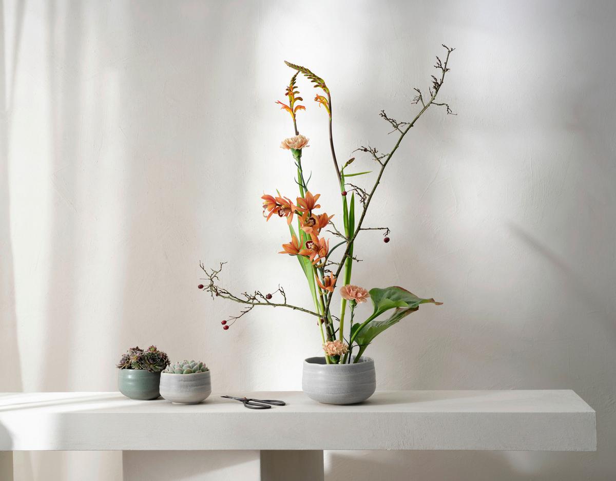 MISECZKA MORIBANA - czarny, Modern, ceramika (16,5/9,5cm) - ASA
