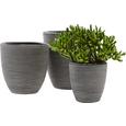 Vas Ornamental Pentru Ghiveci Marlene - negru, Lifestyle, plastic (21/21cm) - Modern Living Vas Ornamental Pentru Ghiveci Marlene - negru, Lifestyle, plastic (21/21cm) - Modern Living
