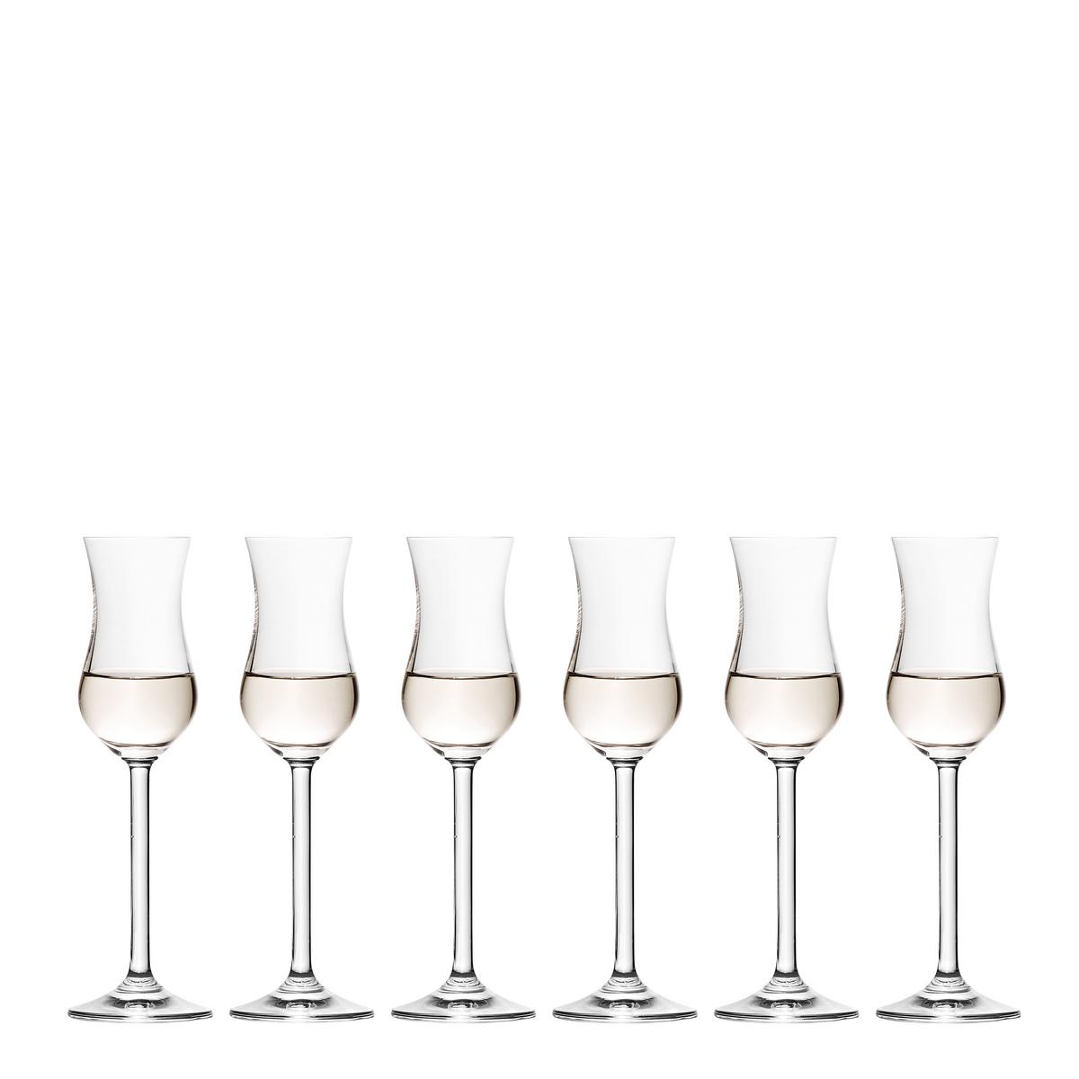 KOMPLET SZKŁA STOŁOWEGO 063319 - przejrzysty, Basics, szkło (20/6cm) - Leonardo