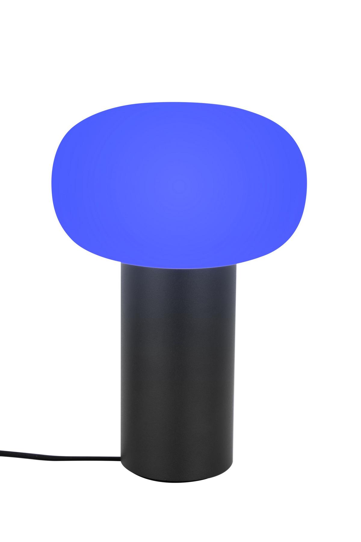 LAMPA STOŁOWA Z AKUMULATOREM FUNGO - biały/ciemnoszary, Design, metal/szkło (13/19cm) - Dieter Knoll