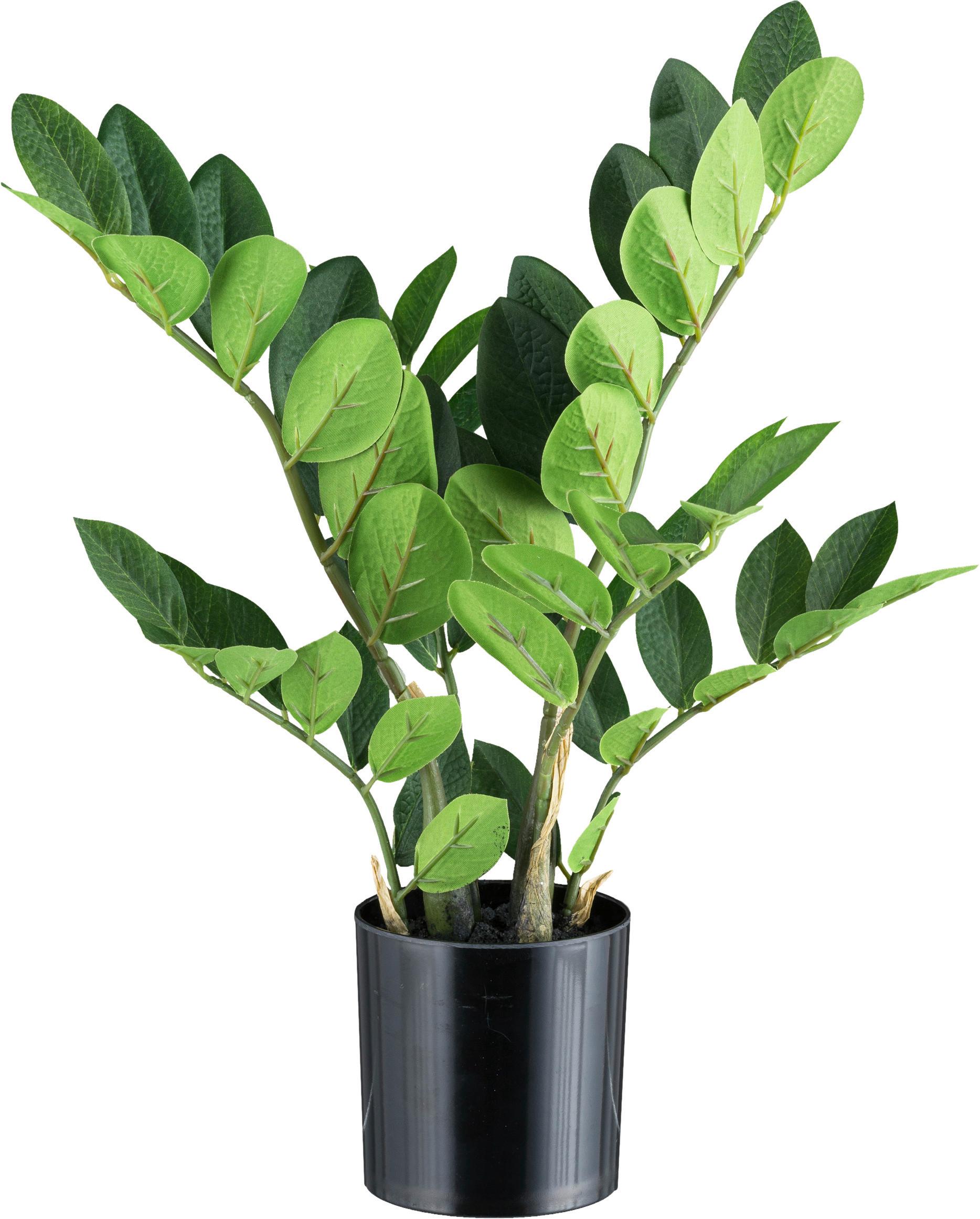 Kunstpflanze Grünpflanzen Grün/Braun/Schwarz - Schwarz/Braun, Design, Kunststoff (45cm)