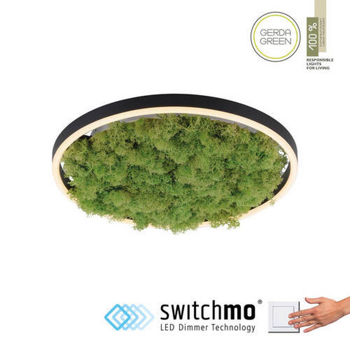 LAMPA SUFITOWA LED 15391-66 GREEN RITUS - kolor naturalny, Natur, tworzywo sztuczne/materiały naturalne (39,3/39,3/5,3cm)