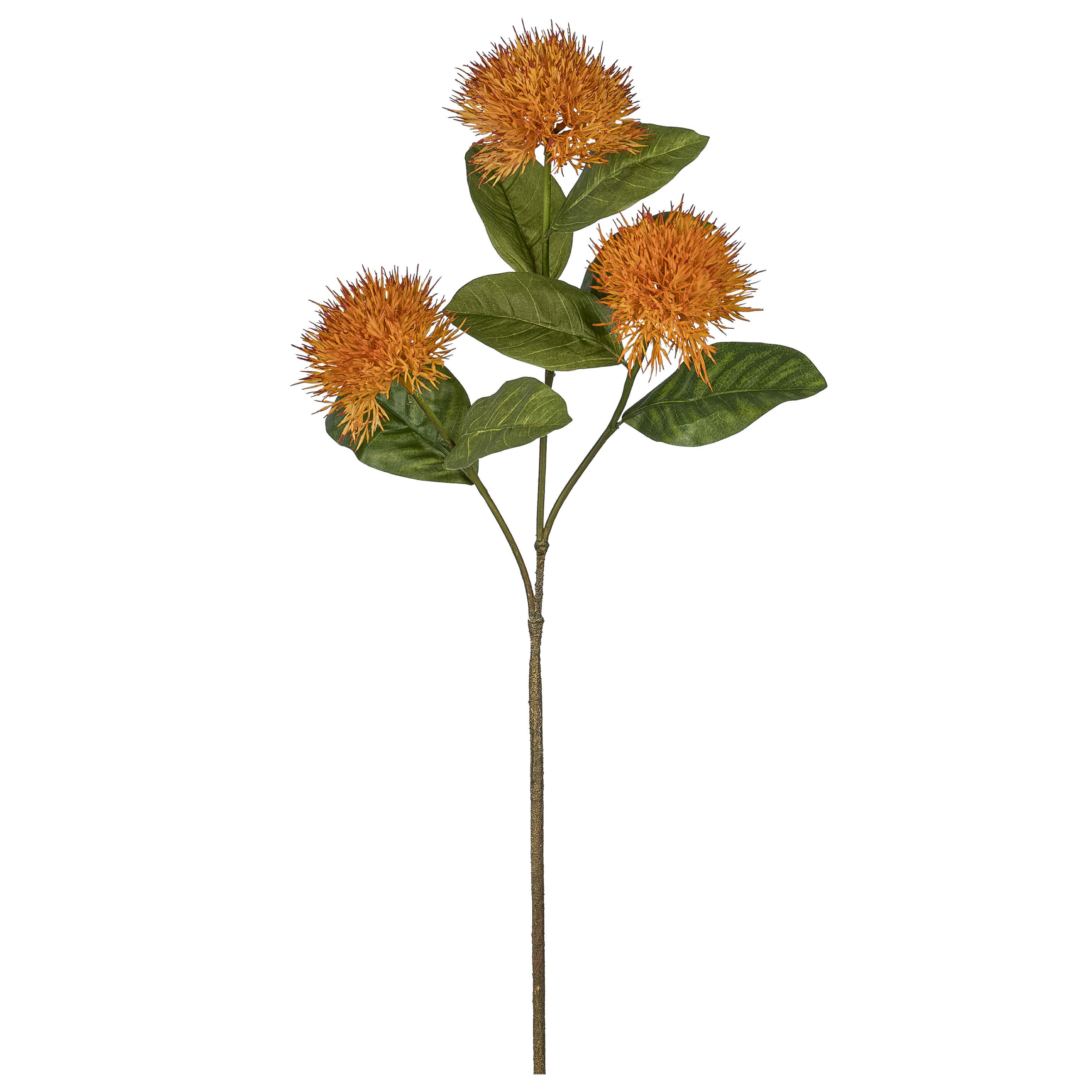 Okrasna Vejica Ixorazweig I - zelena/bela, Konvencionalno, umetna masa (87cm) - Mömax