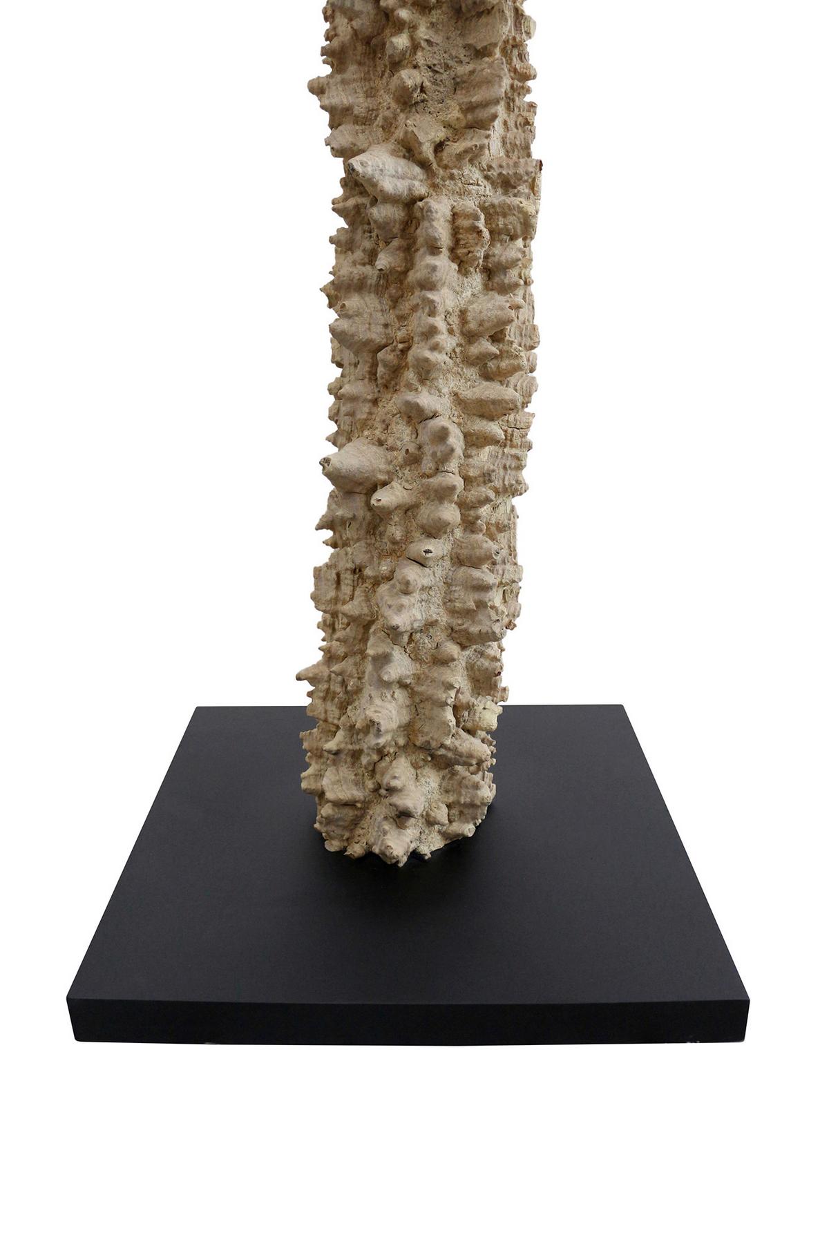 Stoječa Svetilka Driftwood - črna/bela, Design, kovina/tekstil (30/150/30cm) - P & B