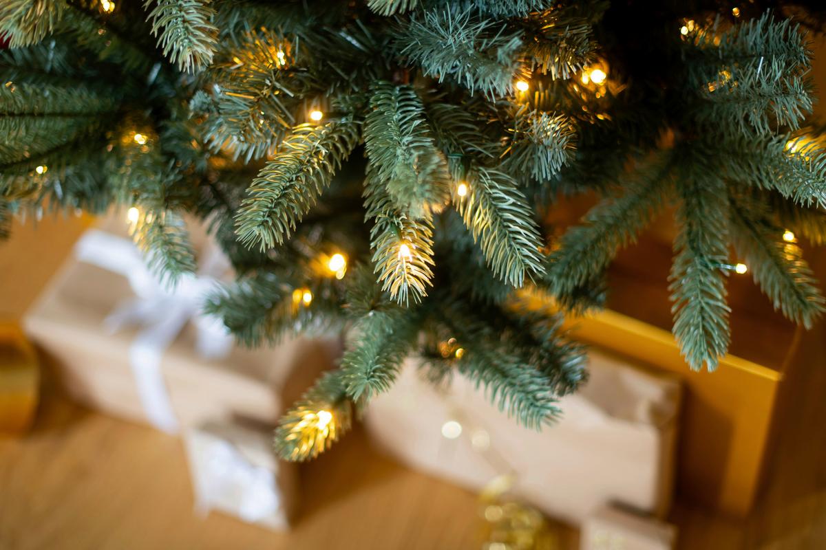 Weihnachtsbaum Evergreen Vermont Grün H: ca. 210cm - Waldgrün, Basics, Kunststoff (150/210cm)