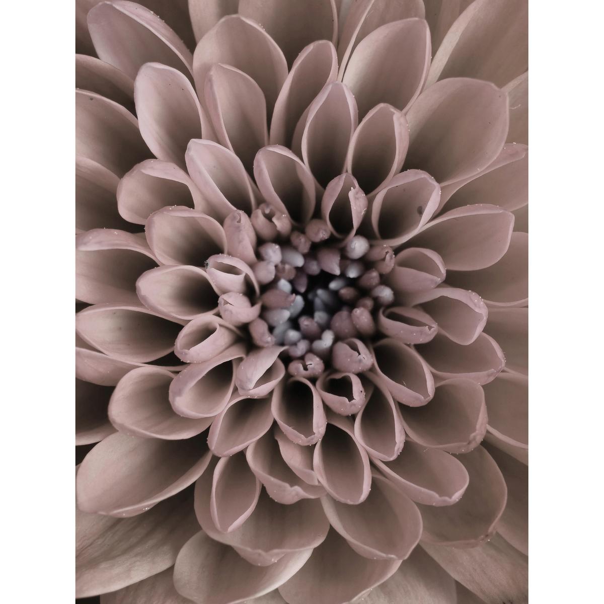 Poster Vincent - večbarvno, papir (30/40cm) - Modern Living