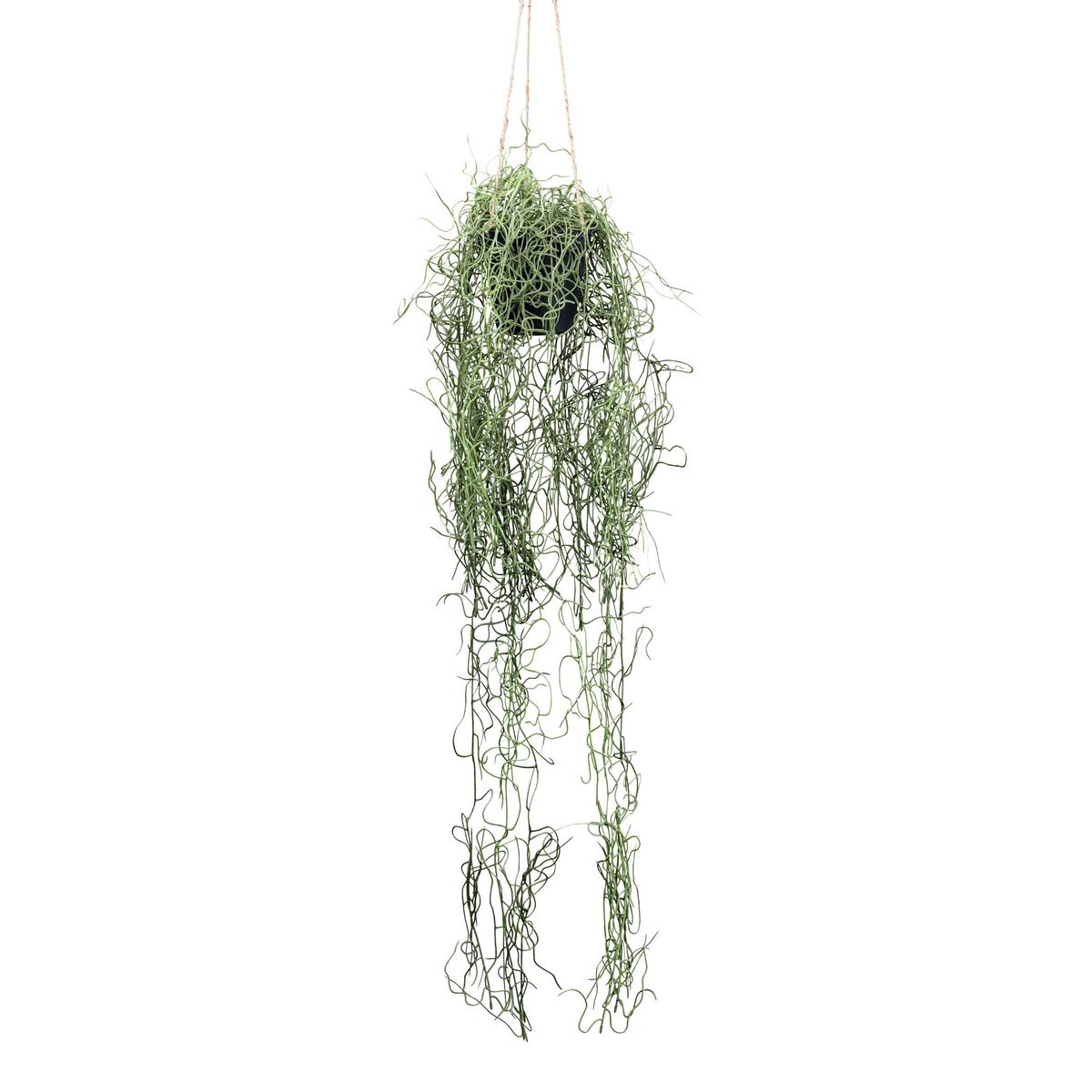 Plantă artificială TILANDSIA II - verde, Basics, plastic (80cm) - Modern Living