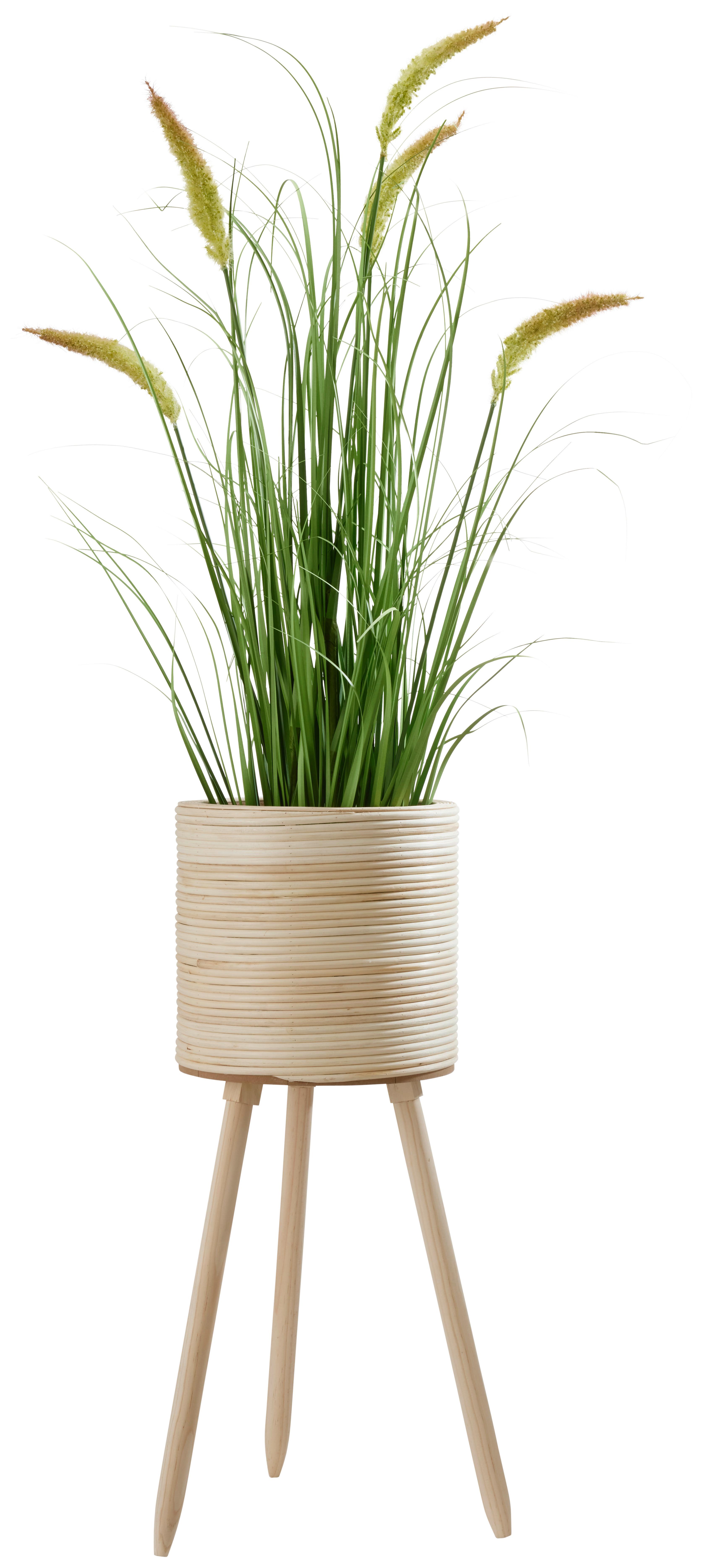Kaspó Bamboo - natúr színű, fa (26/65,5cm) - Premium Living