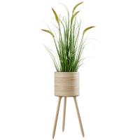 Kaspó Bamboo - natúr színű, fa (26/65,5cm) - Premium Living