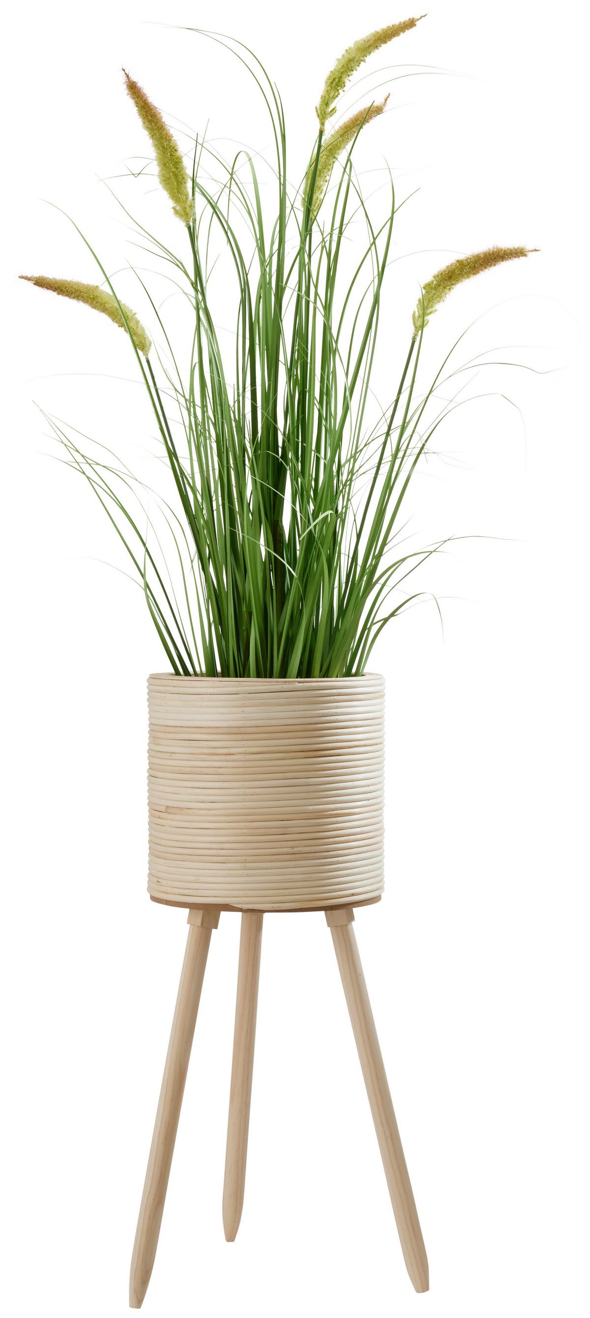 Kaspó Bamboo - natúr színű, fa (26/65,5cm) - Premium Living