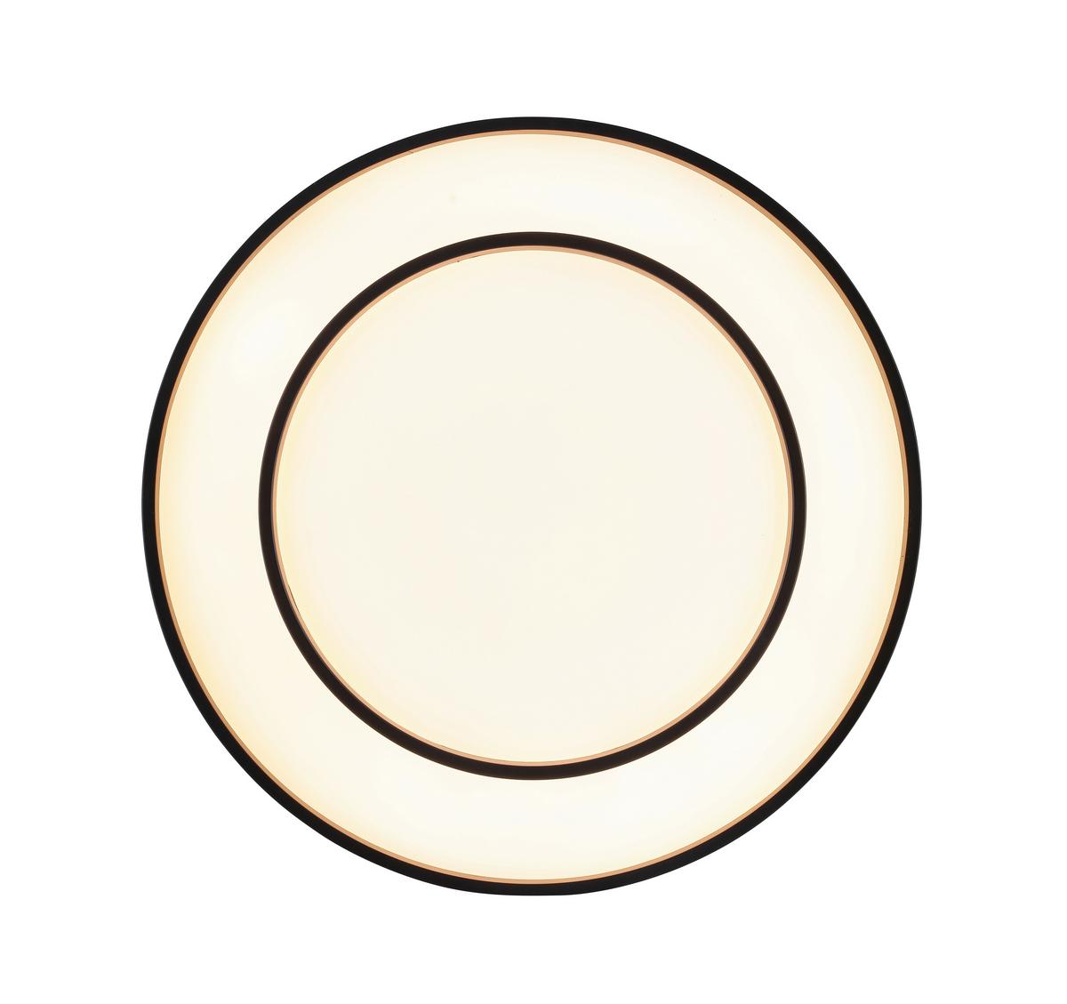 LAMPA SUFITOWA LED RIKU - czarny, Modern, tworzywo sztuczne/metal (48/8,5cm) - Bessagi Home