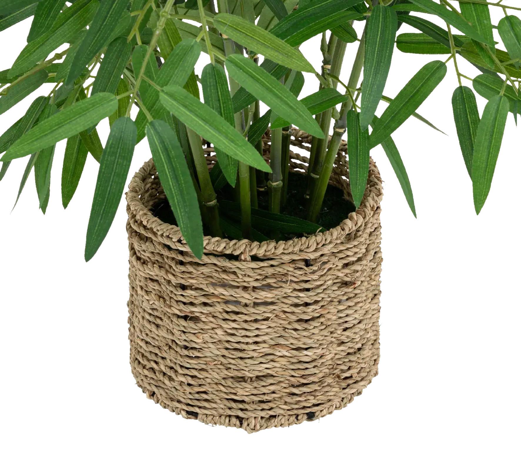 Okrasna Rastlina Bamboo - Moderno (45/100cm) - Premium Living