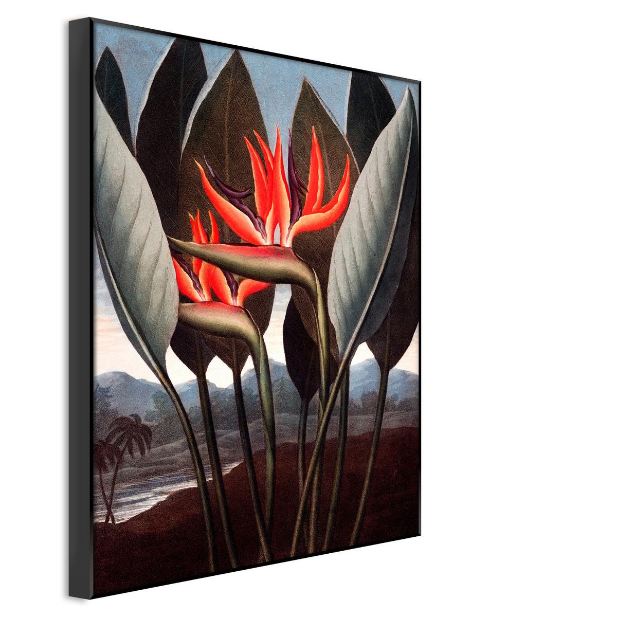 Bild Elena ca. 70x100cm - Multicolor, Holzwerkstoff/Papier (70/100cm) - Modern Living