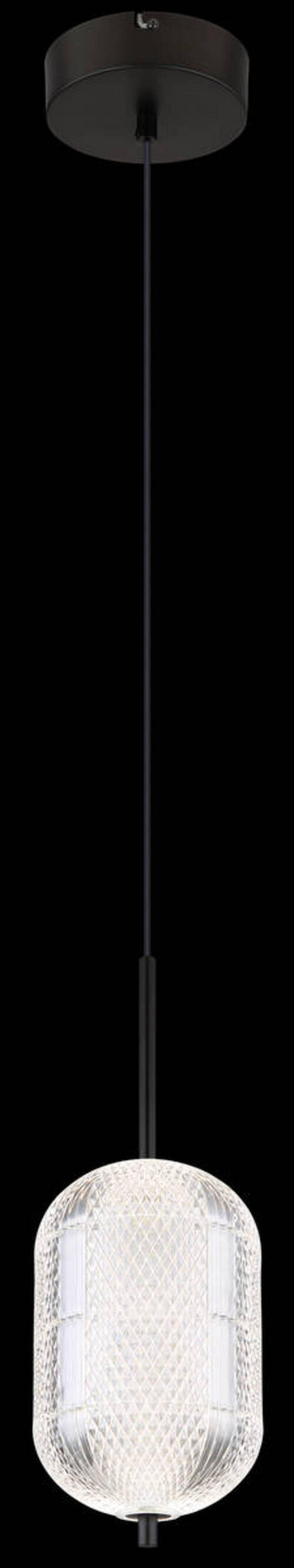 LED-Hängeleuchte Kurius Schwarz max. 12 Watt - Klar/Schwarz, KONVENTIONELL, Kunststoff/Metall (15/120cm) - Globo