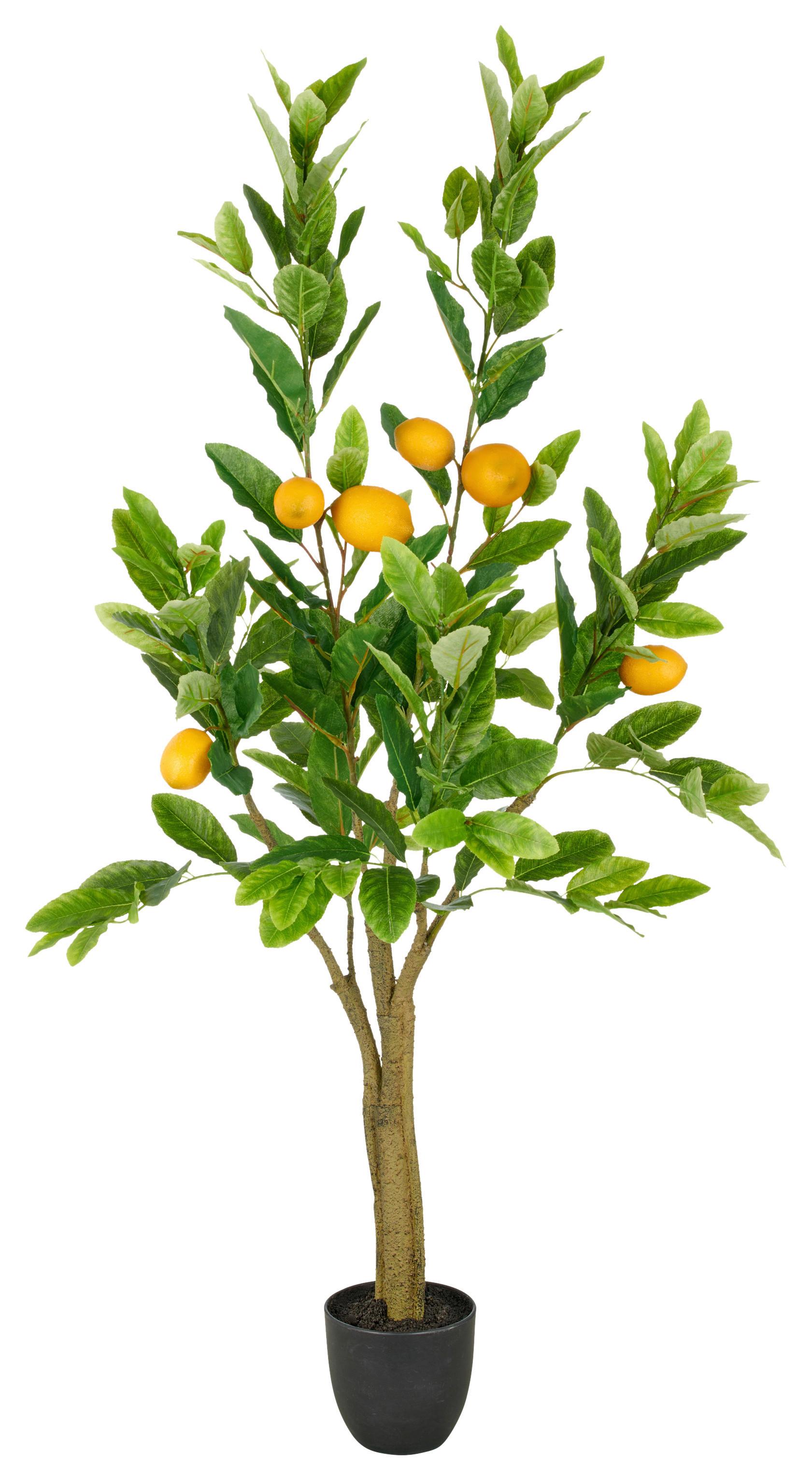 Kunstpflanze Zitronenbaum I Grün/Gelb - Gelb/Schwarz, Trend, Kunststoff (120cm)