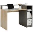 Schreibtisch Grau/Eichefarben - Eichefarben/Grau, MODERN, Holz (120/91,5/67cm) - Mömax modern living Schreibtisch Grau/Eichefarben - Eichefarben/Grau, MODERN, Holz (120/91,5/67cm) - Mömax modern living