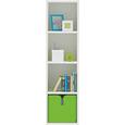 Regal Sunny - bela, Moderno, les (38/146/38cm) - Premium Living Regal Sunny - bela, Moderno, les (38/146/38cm) - Premium Living