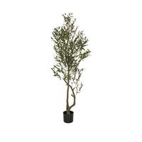 Umetna Rastlina Olive I - črna/zelena, Basics, umetna masa (50/172/50cm) - MID.YOU