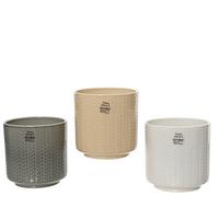 Ghiveci de flori Lily - Basics (13/13cm)