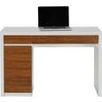 Schreibtisch Weiß Holzoptik - Weiß, MODERN, Holzwerkstoff (120/78/50cm) - MÖMAX modern living