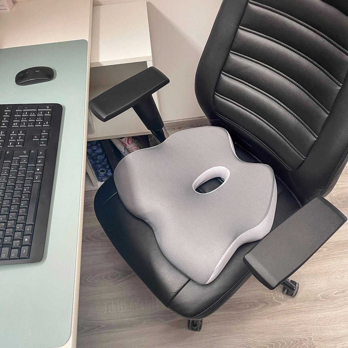 Sedežna Blazina Medisit W, Bela - Basics, tekstil (44/10/39cm) - MID.YOU