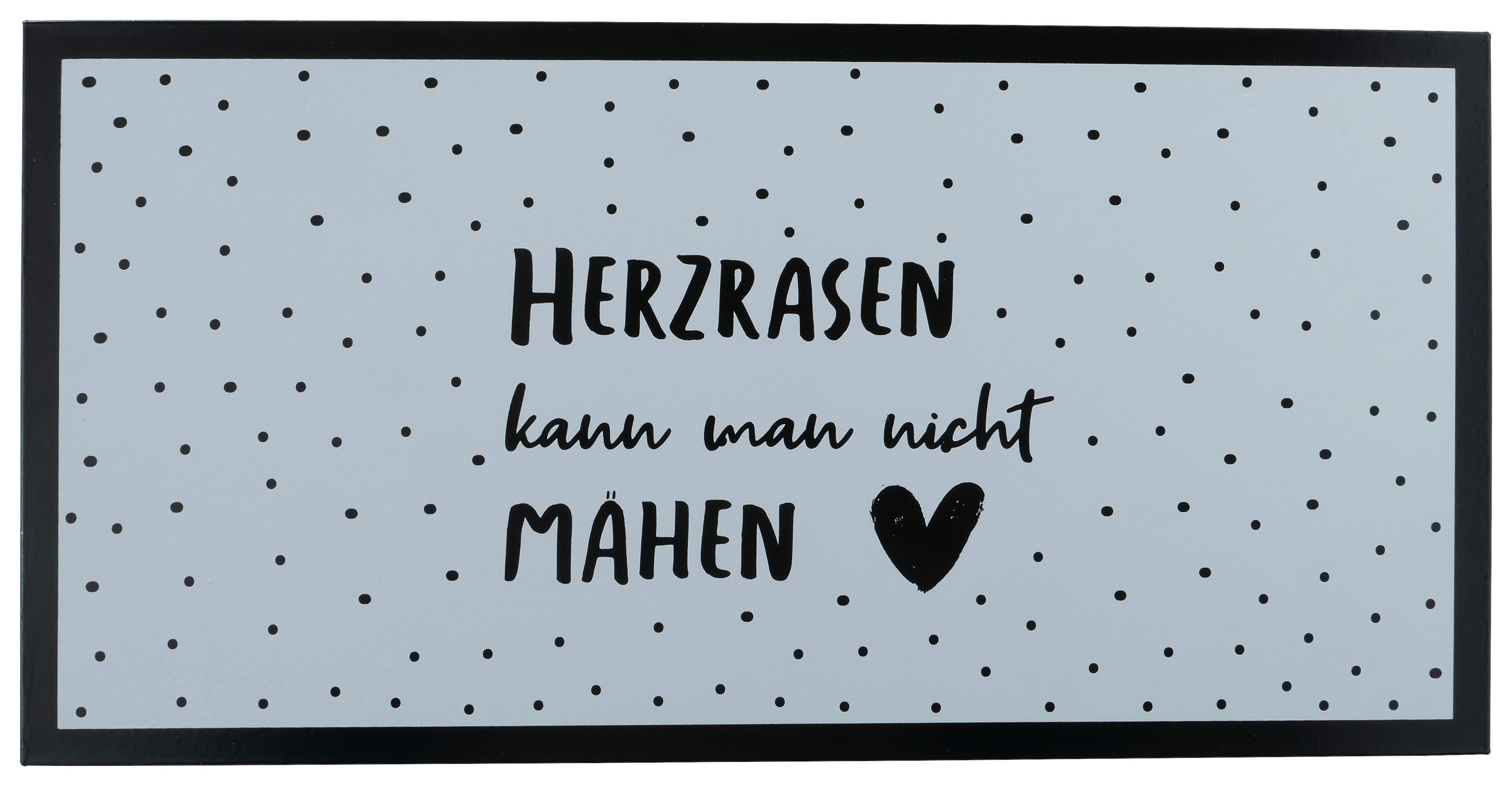 Dekoschild Wording aus Eisen - Design, Metall (40/20cm)