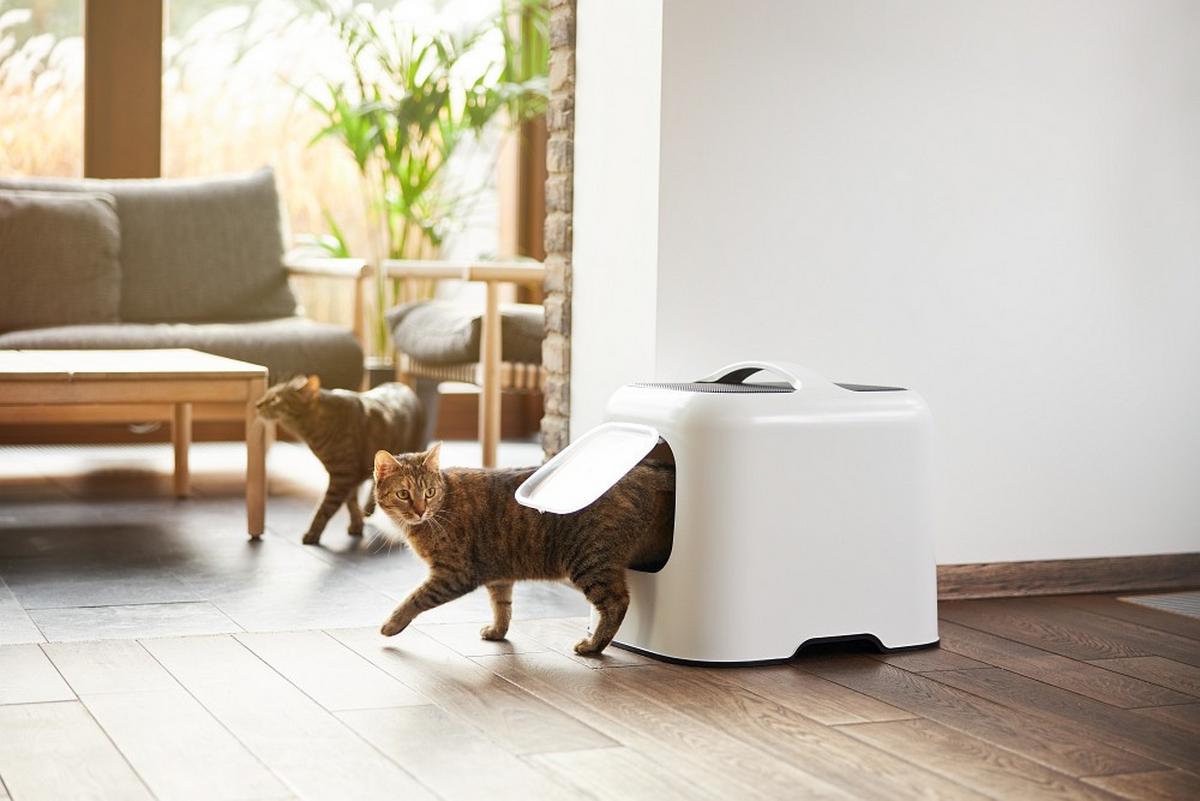 KUWETA DLA KOTA 4005201023WS - biały, Basics, tworzywo sztuczne (51/39,5/44,3cm) - Rotho