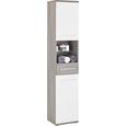 Hochschrank in Braun/Weiß - Dunkelbraun/Alufarben, KONVENTIONELL, Glas/Holzwerkstoff (40/195/35cm) - PREMIUM LIVING