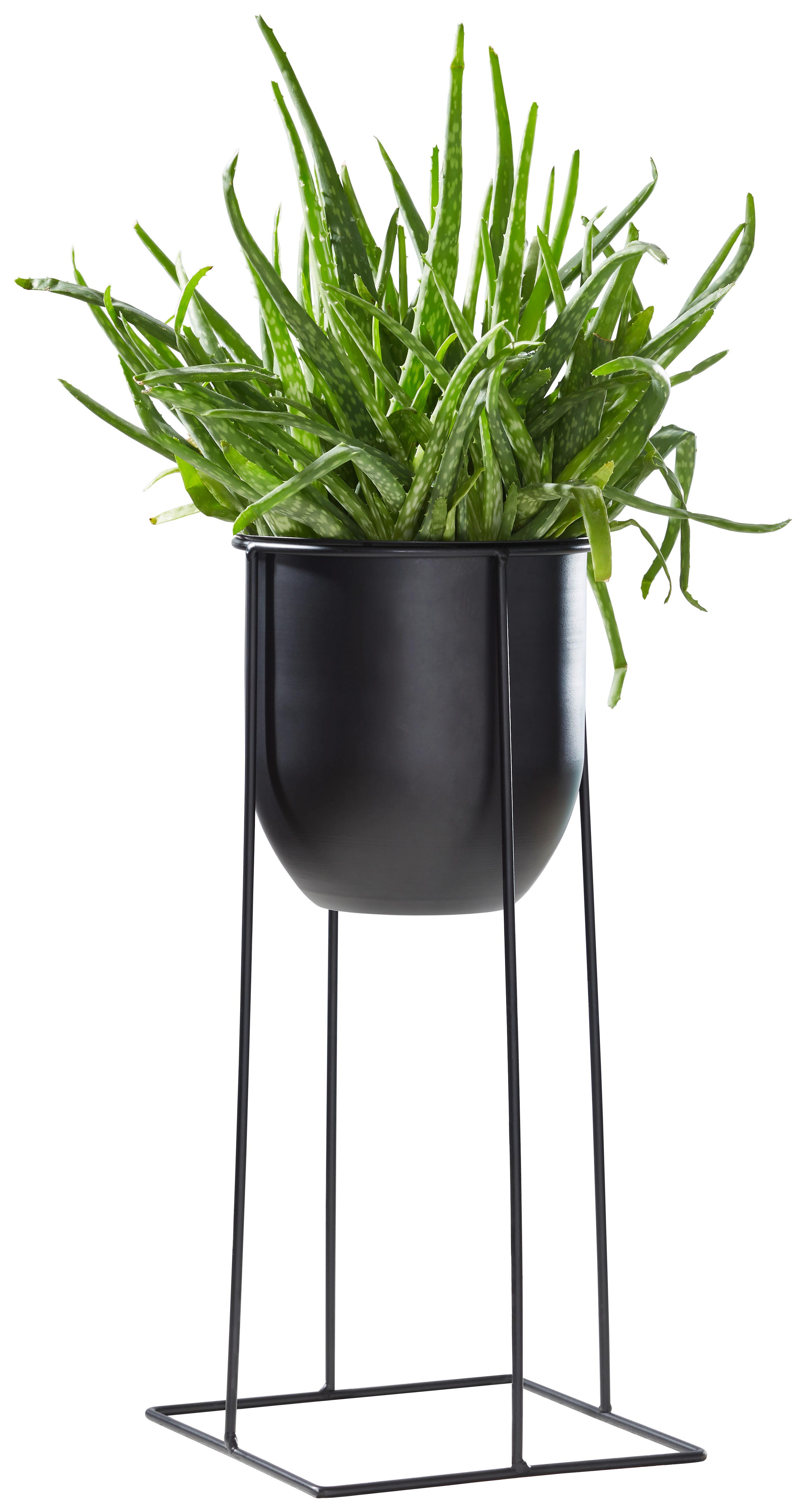 DONICZKA NA KWIATY GM21-170402 - czarny, Basics, metal (19/40cm) - Ambia Home