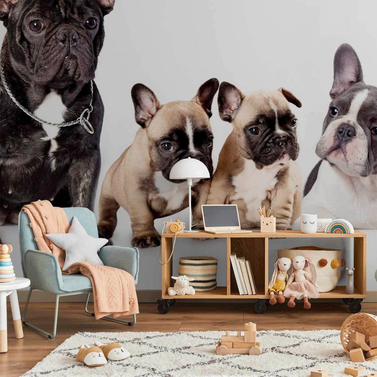 Fototapete Fench Dogs Schwarz/weiß - Schwarz/Weiß, LIFESTYLE, Textil (450/315cm) - artgeist